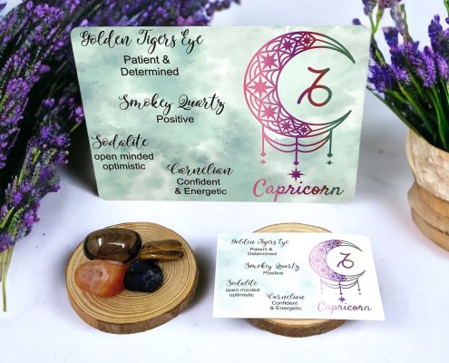 Capricorn Zodiac Crystal Gift Pack